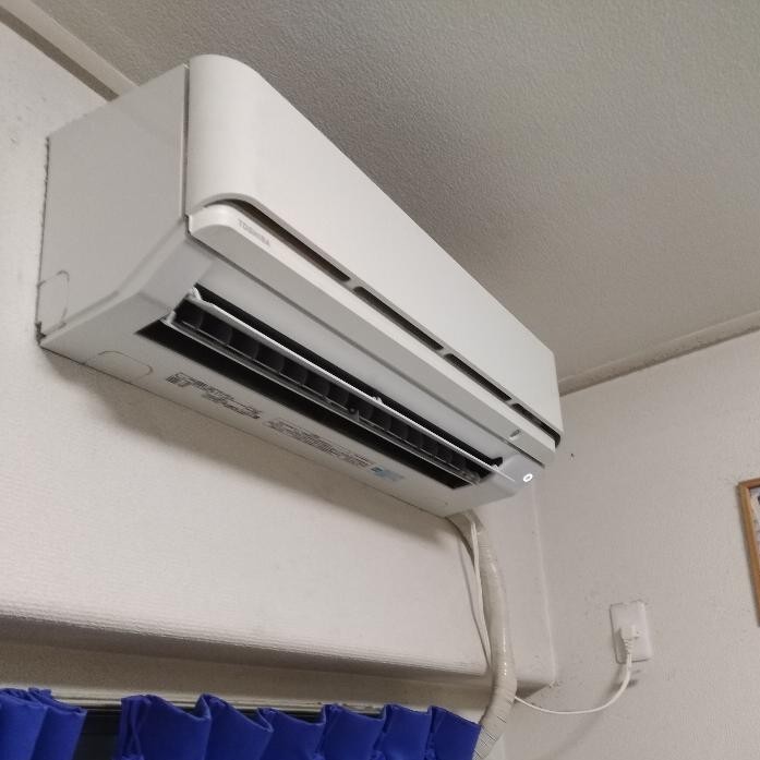 の画像
